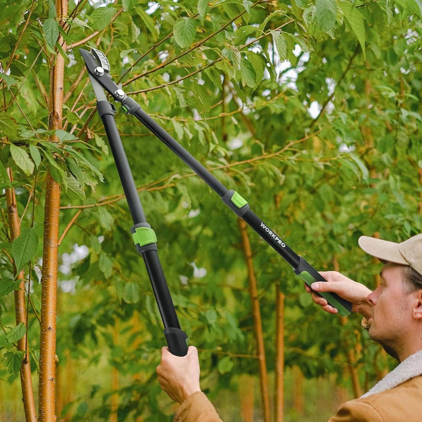 WORKPRO Extendable Anvil Lopper for Gardening, 25-37" Branch Cutter with 1.6" Cutting Capacity, Heavy-Duty Pruning Shear Featuring Gear System for Tree Trimming, Handheld Garden Shear with Sharp Blade