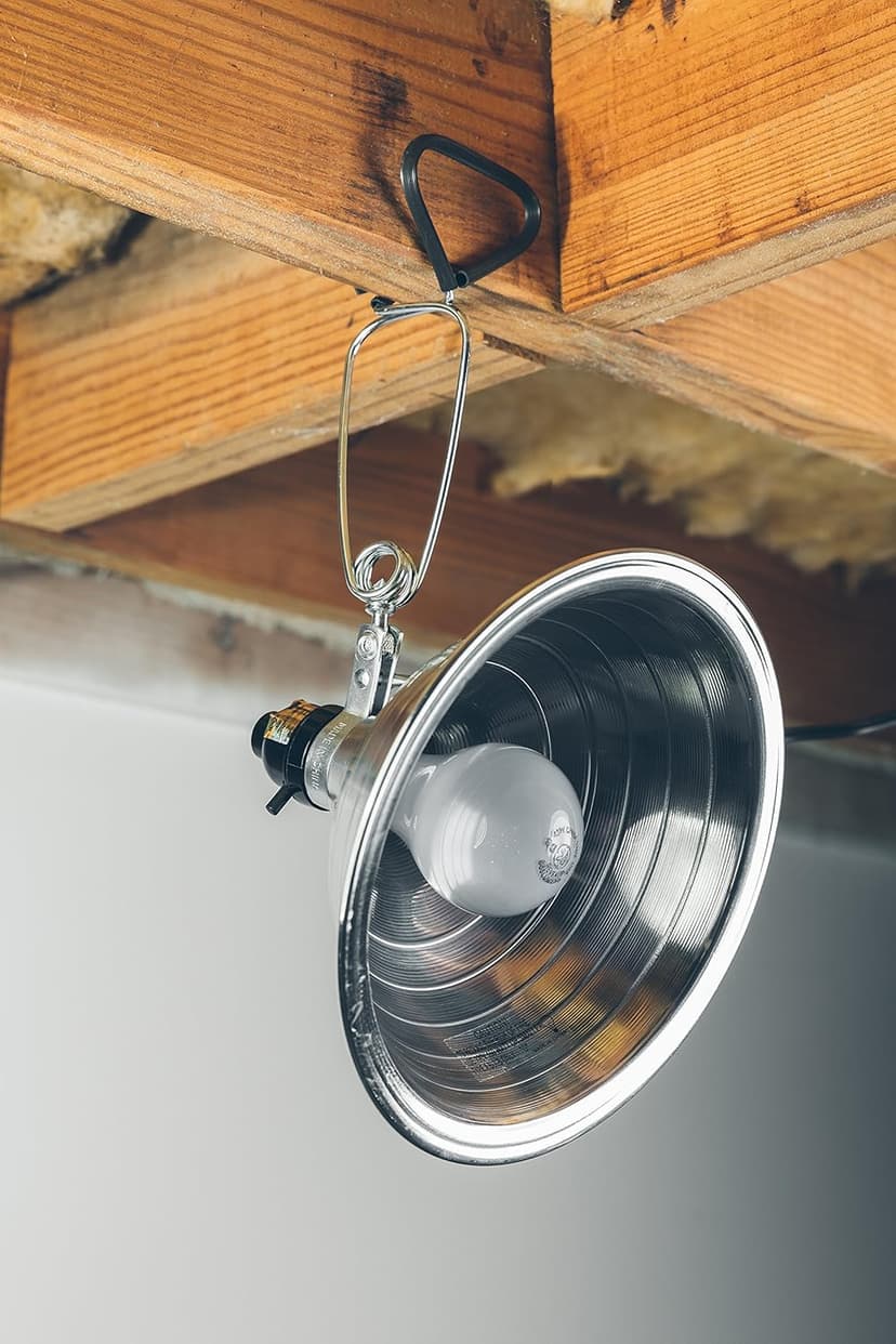 Woods Clamp Lamp Light with Aluminum Reflector; 150W; UL Listed; 6- Foot Cord