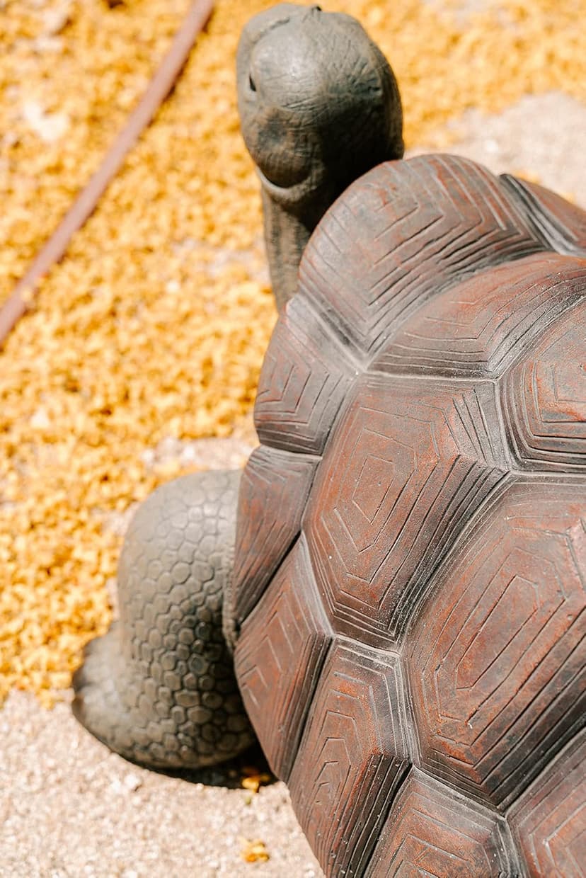 XBrand 28" L Brown and Black Concrete/MgO Walking Tortoise Statue, Indoor or Outdoor Décor, Garden Sculptures, Turtle Garden Statue