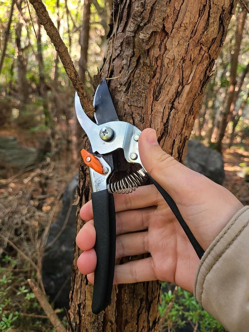 Saboten 7.9" Japanese Pruning Shears - Premium Steel Blades, Rust-Resistant Fluorine Coating, Ergonomic Grip, Duracon Safety Lock - forest Originals, Made in Japan, Gardening & Farming Scissors