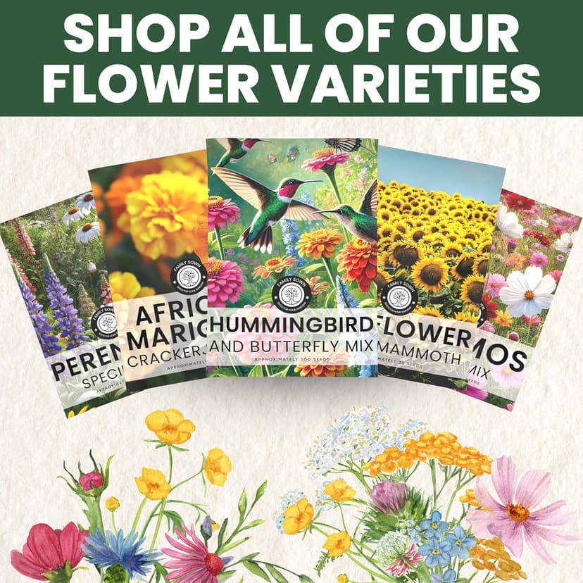 Perennial Species Mix - Large 1 Ounce Packet - 15,000 Flower Seeds for Planting - Wildflower Mix