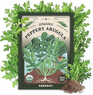 Organic Arugula 'Slow Bolt' Seeds for Planting Indoor and Outdoor, Non-GMO and USDA Certified Herb Seed Packet for Hydroponic Garden Indoor or Planting Outdoors (Slow Bolt Arugula)