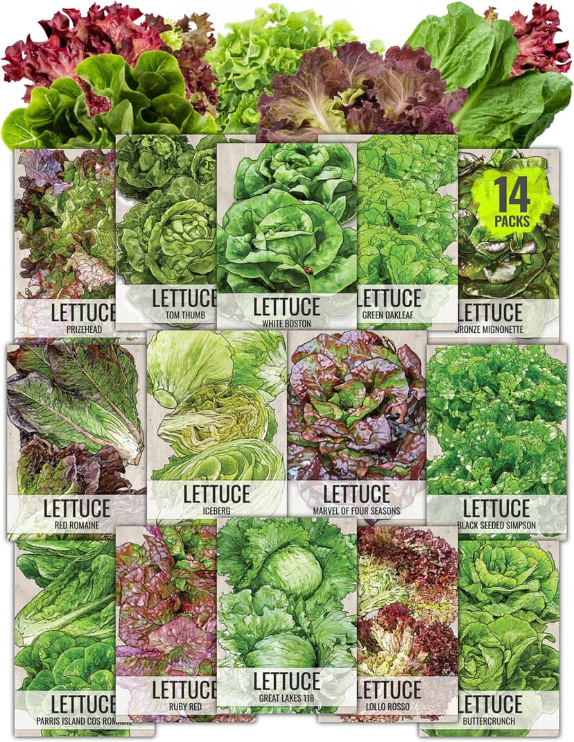 Seed Needs Lettuce Seeds for Planting - Non-GMO Heirloom & Untreated - Grow a Home Grown Outdoor Garden or an Indoor Hydroponics Garden - Homestead Sampler Kit (14 Packs)