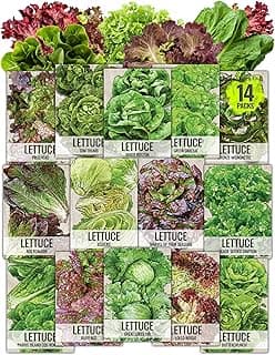 Seed Needs Lettuce Seeds for Planting - Non-GMO Heirloom & Untreated - Grow a Home Grown Outdoor Garden or an Indoor Hydroponics Garden - Homestead Sampler Kit (14 Packs)