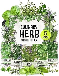Seed Needs, Italian Herb Seed Packet Collection (5 Individual Seed Varieties for Planting) Non-GMO & Untreated - Oregano, Basil, Rosemary, Sage and Parsley