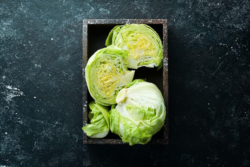 500 Iceberg Lettuce Seeds for planting - Heirloom Non-GMO USA Grown Premium Vegetable Seeds for Planting Home Garden - Crisphead Heading Lettuce Lactuca Sativa by RDR Seeds