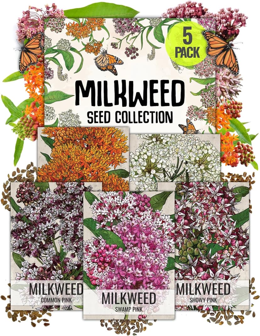 Seed Needs, Milkweed Seed Packet Collection to Attract Monarch Butterflies (5 Individual Seed Varieties to Plant) Heirloom & Untreated Seeds