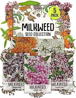Seed Needs, Milkweed Seed Packet Collection to Attract Monarch Butterflies (5 Individual Seed Varieties to Plant) Heirloom & Untreated Seeds