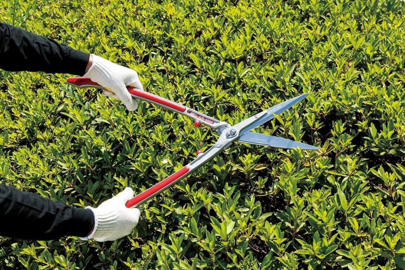 ARS HS-KR1000 Professional Hedge Shears
