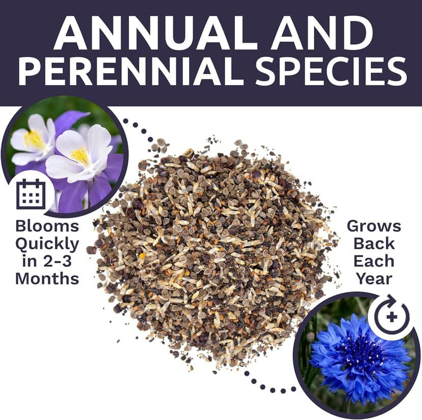 Wildflower Seeds Partial Shade Mix - 1 Ounce Over 7,000 Open Pollinated Annual and Perennial Seeds