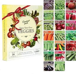 The 10 best carrot seeds of 2025