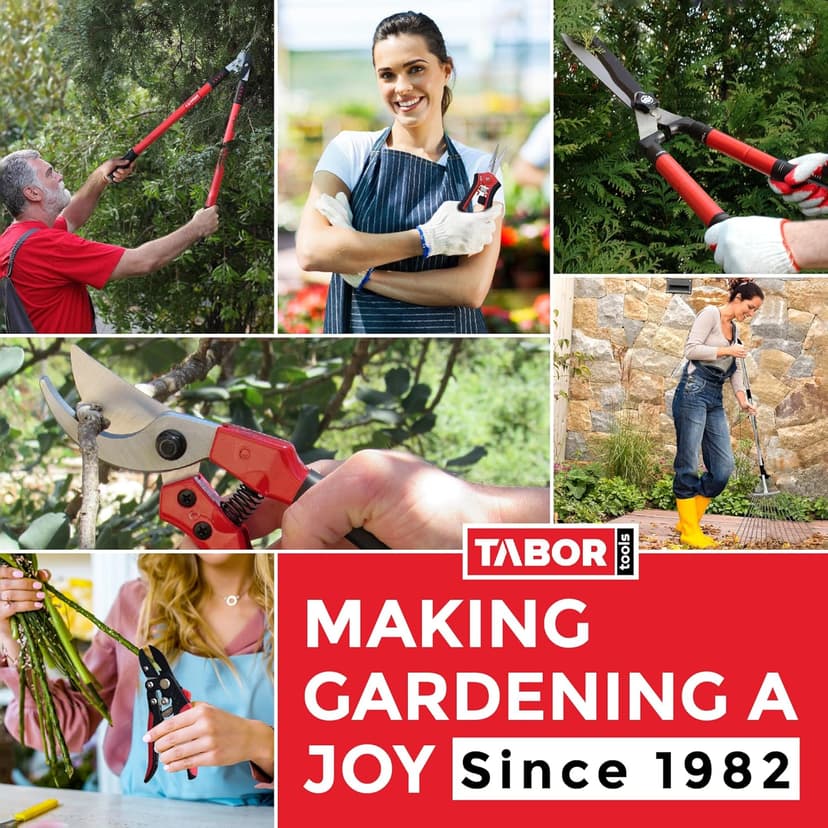 TABOR TOOLS GG22A Telescopic Extendable Anvil Lopper with Compound Action, 27-40 Inch Telescopic Tree Trimmer, Long Handled Branch Cutter with ⌀ 2 Inch Cut Capacity, Chops Thick Branches with Ease.