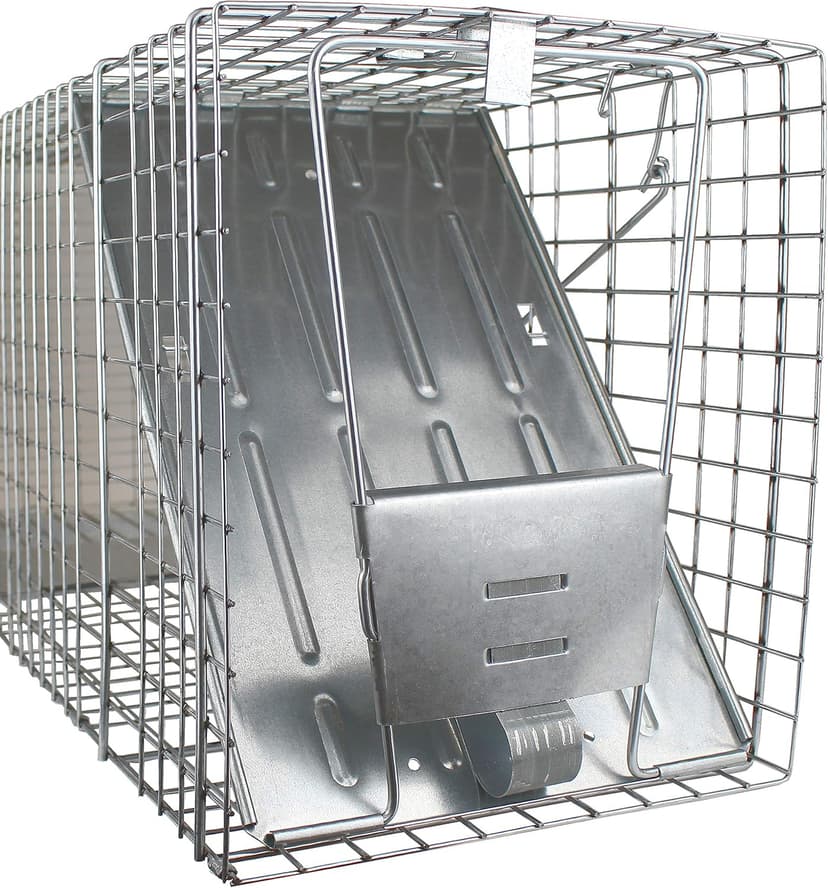 HAVAHART 1079SR Large 1-Door Humane Catch and Release Live Animal Trap Cage - Live Raccoon Trap, for Bobcats, Beavers, Dogs, & More