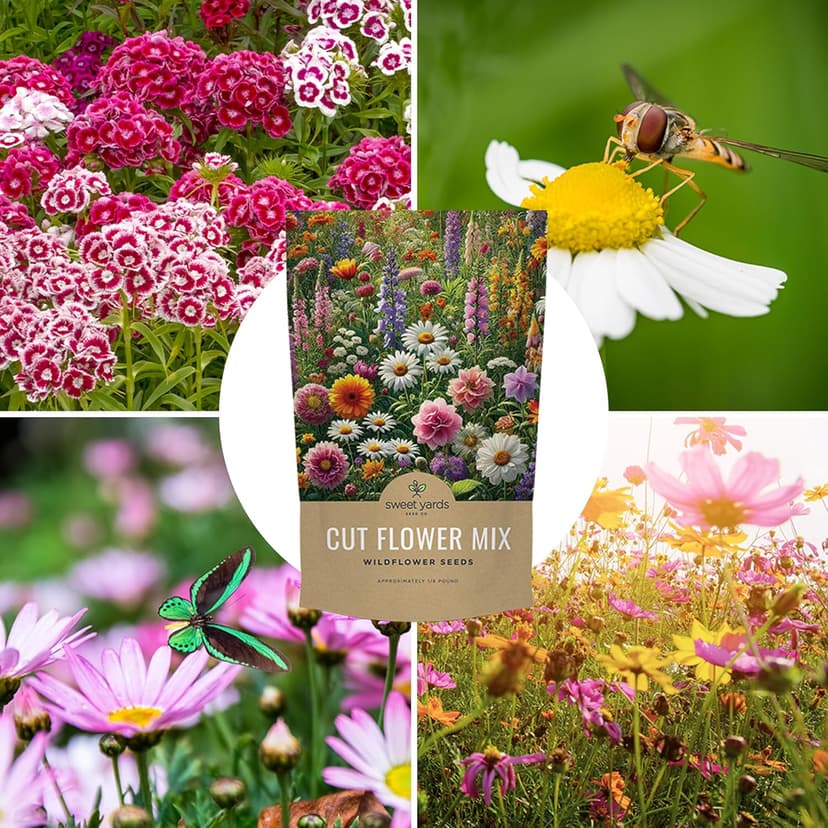 Cut Flower Garden Seeds - Bulk 1/4 Pound Bag - Over 30,000 Fresh Open Pollinated Non-GMO Wildflower Seeds - Long Lasting Annuals and Perennials with Bright Colors