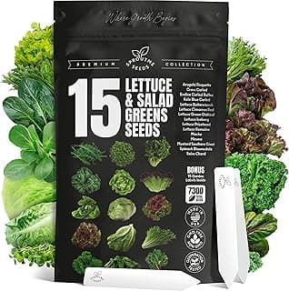 15 Lettuce & Salad Greens Seeds Variety Pack Lettuce Garden Salad Kit with Plant Labels 7300+ Non-GMO Heirloom Arugula Spinach Kale Iceberg Lettuce Seeds for Planting Outdoors Indoors