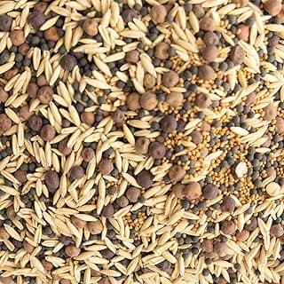 Cover Crop Seed Mix - Pollinator & Bee Friendly Cover Crop Mix - 25 lb Bulk ~170,000 Seeds - Clover Cover Crop Blend - Includes Hairy Vetch Cover Crop Seeds, Crimson Clover, Peas, & Oats