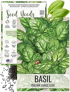 Seed Needs Basil Seeds for Planting Italian Large Leaf Herbs - Non-GMO Heirloom & Untreated - Grow an Indoor or Outdoor Home Grown Herb Garden (1 Pack)