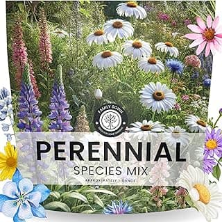 Perennial Species Mix - Large 1 Ounce Packet - 15,000 Flower Seeds for Planting - Wildflower Mix