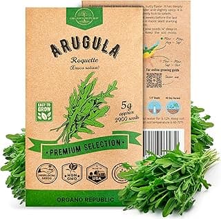 Organo Republic Arugula Roquette Seeds Pack 5G - Over 2900 Non-GMO Heirloom Arugula Seeds for Planting Greens in Individual Seed Packet, Greens Seeds for Planting Home Garden Indoor & Outdoor Garden