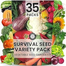 The 12 best cold-hardy seeds of 2025