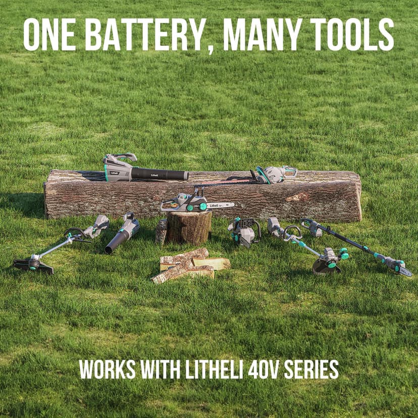 Litheli Cordless Pole Saw, 40V 2.5Ah Battery Pole Saws for Tree Trimming, 10-Inch Pole Saw Battery Powered 16ft/s Cutting Speed Auto Oiling Multi-Angle Electric Pole Chainsaw(Battery&Charger Included)