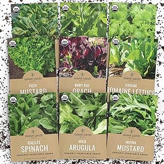 Organic Heat Tolerant Lettuce Seeds Variety Pack - 9 Individual Packs - 2025 Season - Galilee Spinach, Wild Arugula, Romaine Lettuce & More! for Indoor & Outdoor Planting (Non-GMO, Certified Organic)