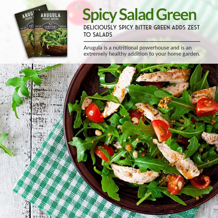 Survival Garden Seeds - Arugula Seeds for Planting - 1 Pack with Instructions to Grow Garden Rocket Green Leafy Vegetables in Your Home Vegetable Garden - Non-GMO Heirloom