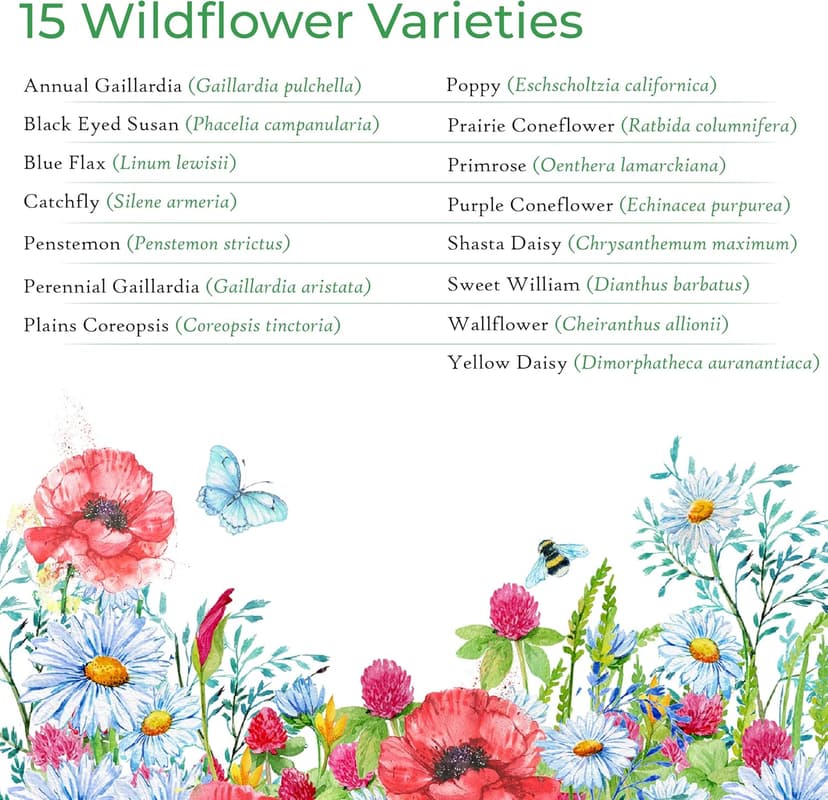 Drought Tolerant Wildflower Seed Mix, Covers 325 Sq Ft, 15 Flower Varieties, Over 67,000 Seeds, Created By Nature