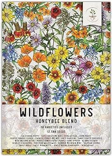 Seed Needs Pollinator Seed Mix Honey Bee Blend Wildflowers | Bulk 1 Ounce 12,500+ Heirloom Seeds 20 Pollinator Friendly Flower Varieties | Help Save the Bees Produces Colorful Blooms | Open Pollinated