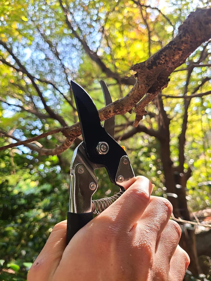 Saboten 7.9" Japanese Pruning Shears - Premium Steel Blades, Rust-Resistant Fluorine Coating, Ergonomic Grip, Duracon Safety Lock - forest Originals, Made in Japan, Gardening & Farming Scissors