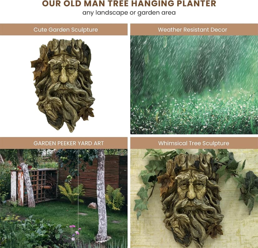 Bits and Pieces - 'Old Man' Tree Hanging Planter - Yard Decorations - Whimsical Tree Sculpture - Indoor/Outdoor Decoration - Garden Peeker Yard Art