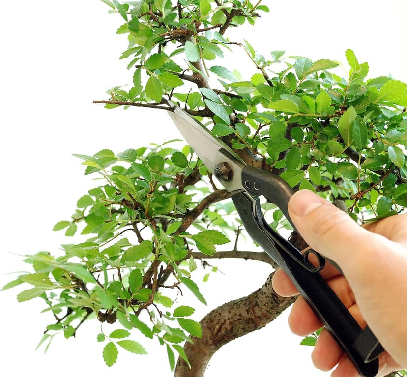 Okatsune Professional Snips, No.207 (Standard Version)
