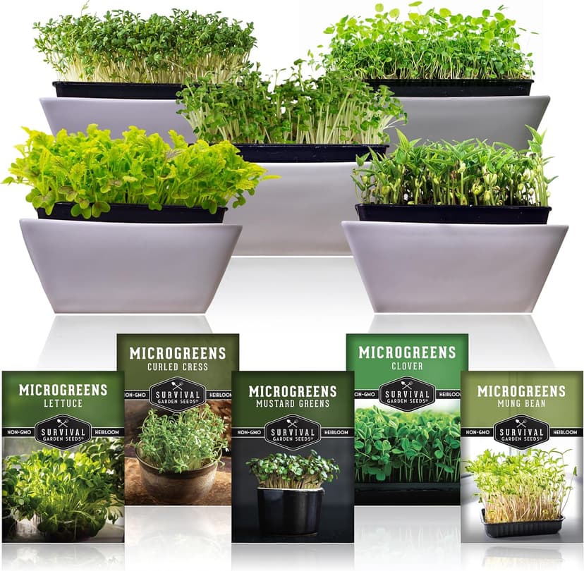 Survival Garden Seeds Microgreens 5 Pack (Seeds Only) - Plant, Sprout, and Grow a Mix of Microgreen Plants in Your Kitchen or on Your Windowsill - Lettuce, Curled Cress, Mung Bean, Mustard, Clover