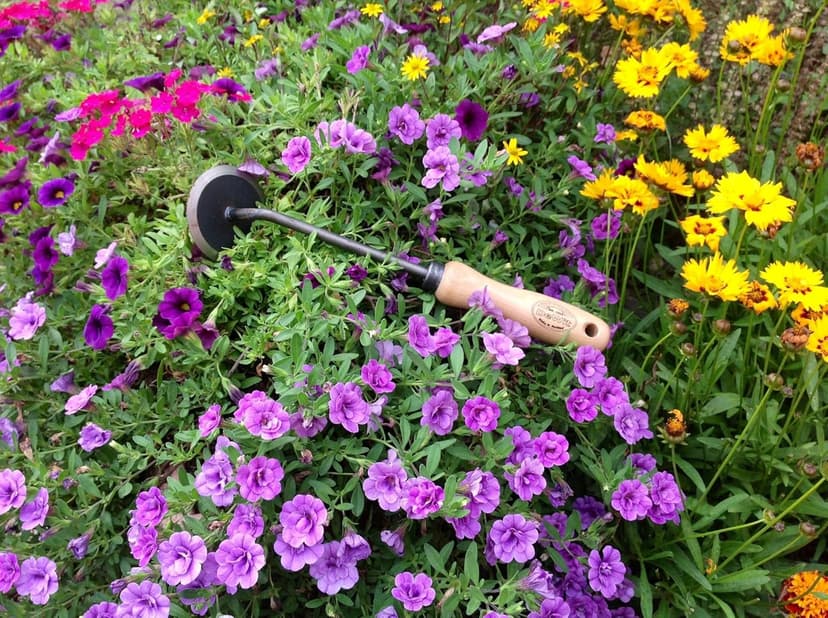 Tierra Garden DeWit Garden Disc Weeder with Short Handle