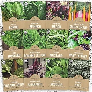 Organic Healthy Greens Seeds Variety Pack - 12 Individual Packs - 2025 Season - Arugula, Kale, Swiss Chard, Spinach, Mustard & More! for Indoor & Outdoor Planting (Non-GMO, Certified Organic)