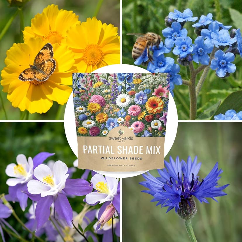 Wildflower Seeds Partial Shade Mix - 1 Ounce Over 7,000 Open Pollinated Annual and Perennial Seeds