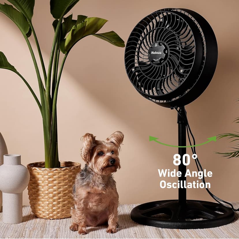 HOLMES 16" Outdoor Misting Stand Fan, Hose Connection, 3 Speeds, 3 Micro-Mist Levels, 80° Oscillation, Adjustable Height, 25° Head Tilt, GFCI Plug, Black