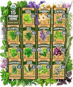 The 14 best herb seeds of 2025