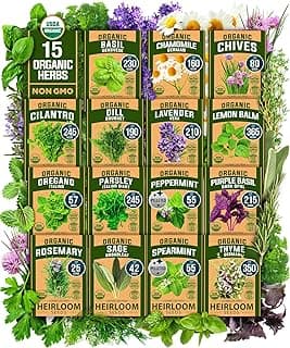 HOME GROWN 15 Organic Herb Seeds Variety Pack 2,500+𝗡𝗢𝗡-𝗚𝗠𝗢 𝗨𝗦𝗔 High-Germinating, Heirloom Seeds for Planting Indoor or Outdoor Herb Garden, Hydroponics Garden Seeds, Basil, Cilantro & More