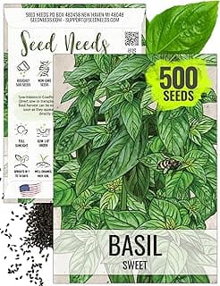 Seed Needs Basil Seeds for Planting Sweet Genovese Kitchen Herbs - Non-GMO Heirloom & Untreated - Grow a Home Grown Herb Garden Indoors or Outdoors (1 Pack)