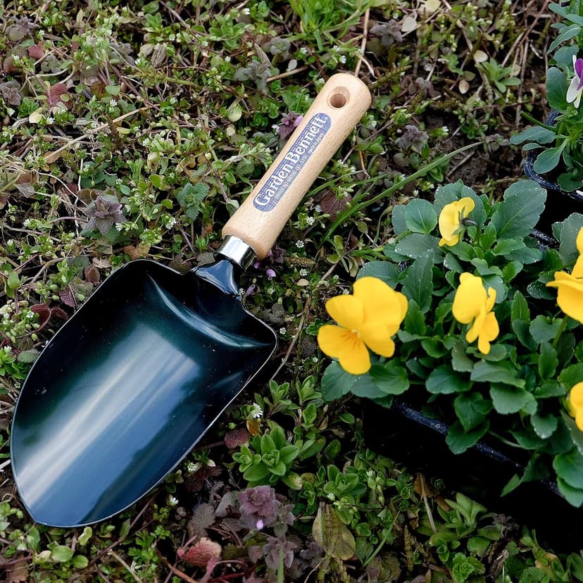Garden Helper Soil Scoop Garden Tool, Large Loose Soil Scooper Tool for Transplanting and Gardening, Heavy Duty Japanese Steel Balde, Wood Handle, Made in Japan