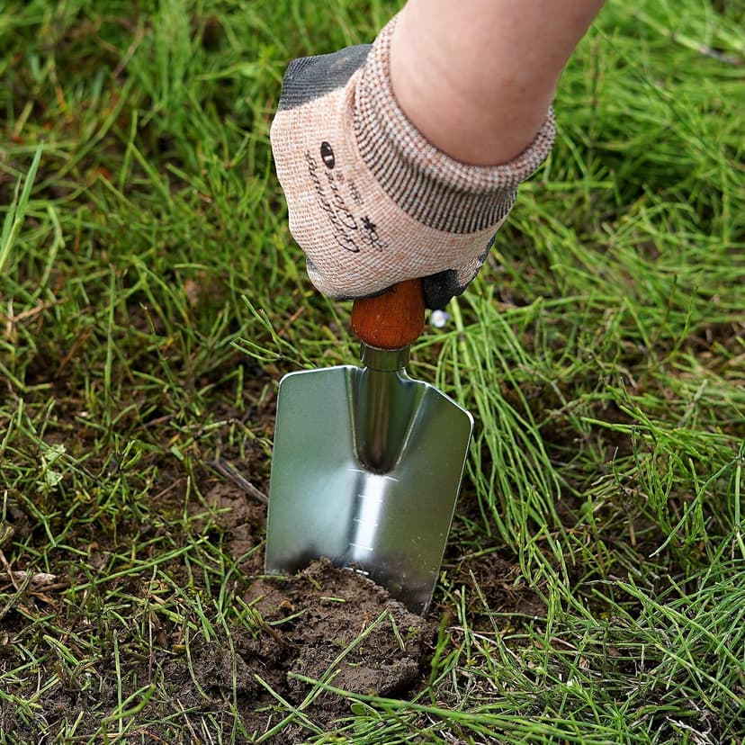 Japanese Garden Trowel Heavy Duty Japanese Steel with Wood Handle, Garden Transplanter Tool for Digging, Scooping, Transplanting, Made in Japan, Large Silver