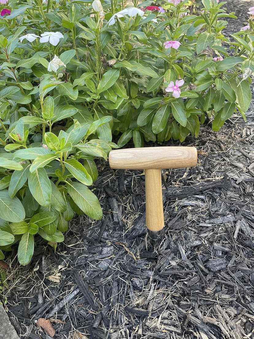 Garden Guru Steel Dibber Planter Tool for Planting Seeds & Bulbs - High Carbon Steel & Comfortable Wood Carved Handle - for Consistent Planting Flowers Tulips, Daffodils, Dahlias