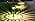 Super Bright Solar Lights for Outside, Up to 12H Solar Lights Outdoor Waterproof, 8 Pack Outdoor Lights Decorative, Garden Lights Dusk to Dawn Auto On/Off,Solar Pathway Lights for Yard,Landscape