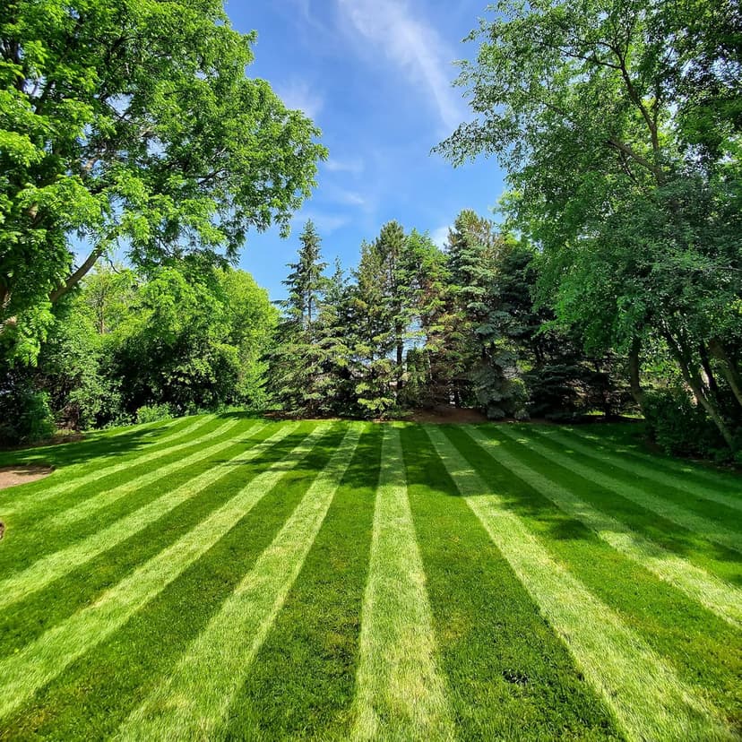 Lawn Stryper- Generation 3 Lawn Striping System/Stripe Your Lawn Like A Ballpark/ONLY Works with Honda 20"-22" Residential Walk-Behind Lawn Mowers