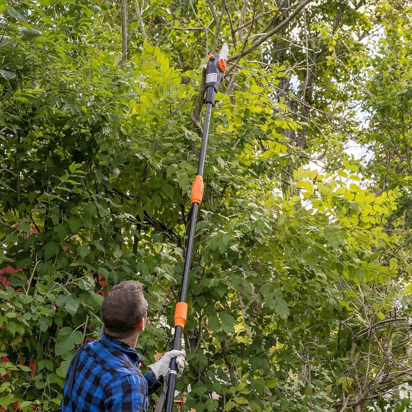 Scotts CLPS40020S 20-Volt 2-in-1 Cordless Covertible Pole Saw/Pole Hedge Trimmer, 2.0Ah Battery and Fast Charger Included