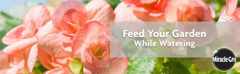 Miracle-Gro Garden Feeder with Water Soluble All Purpose Plant Food, Hose-end Feeder for Outdoor Plants, 1 lb.