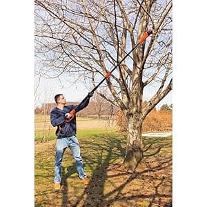 BLACK+DECKER 6.5 Amp 10 in. Electric Pole Saw (PP610)