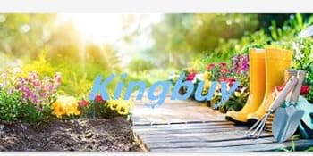 Kingbuy Hydroponic Glass Vase Vintage Desktop Plant Terrarium Planter Bulb Vase Water Planting Propagation Vase Planters Hydroponics Plants with Retro Wooden Stand Home Garden. (E(2 Heart Vase))