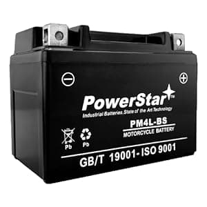 PowerStar YTX4L-BS Lawn Mower Battery for Snapper All Walk Behind Mowers Electric Start